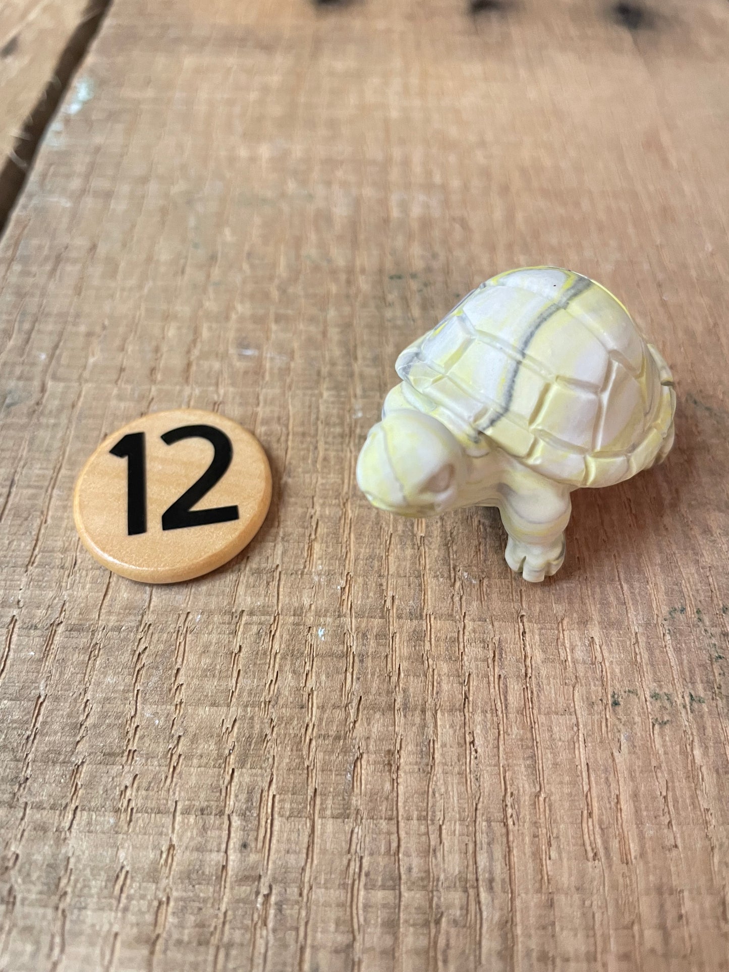 Turtles