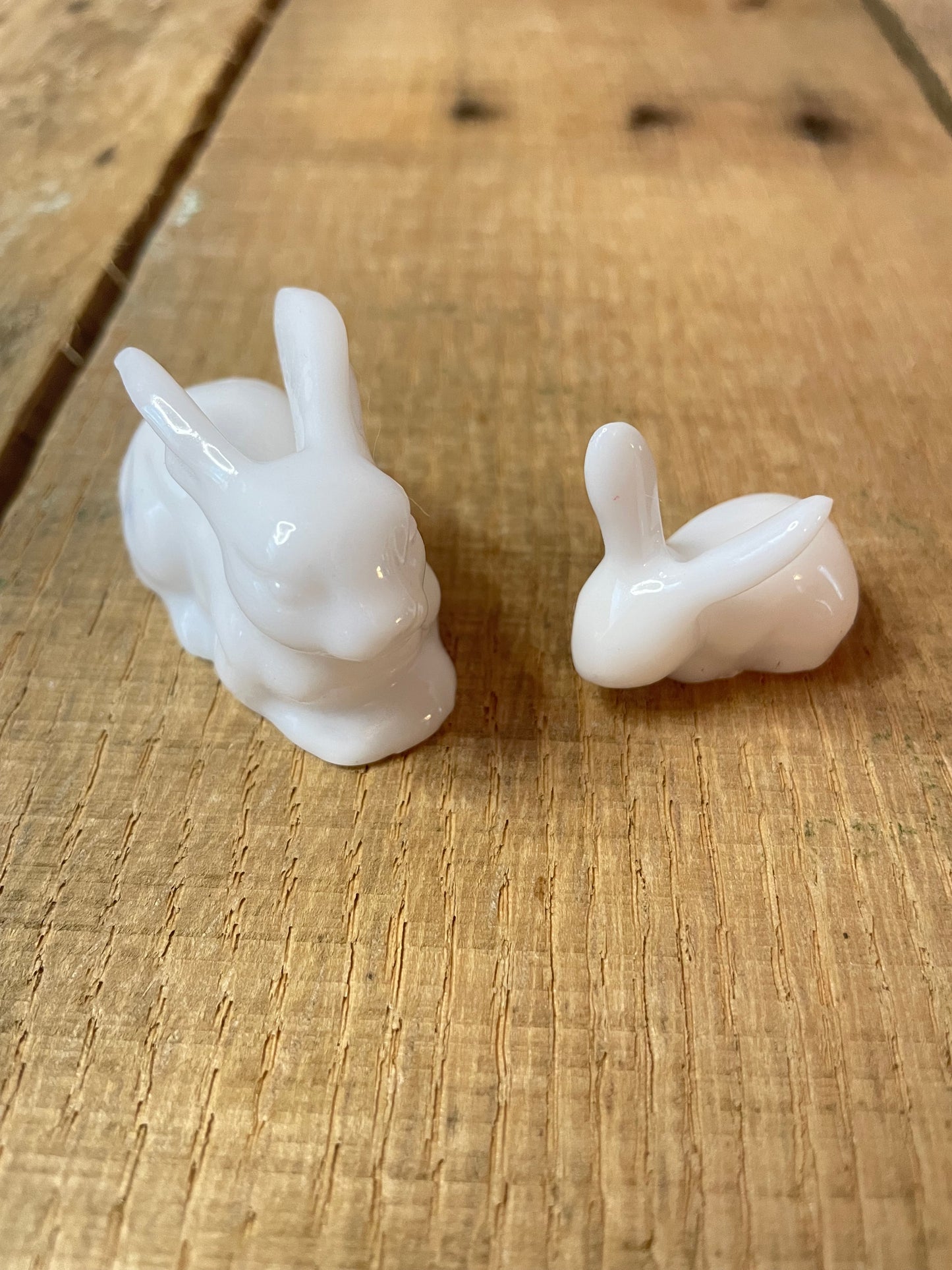 Rabbits