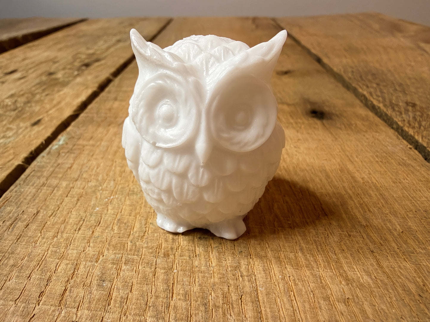 Owls