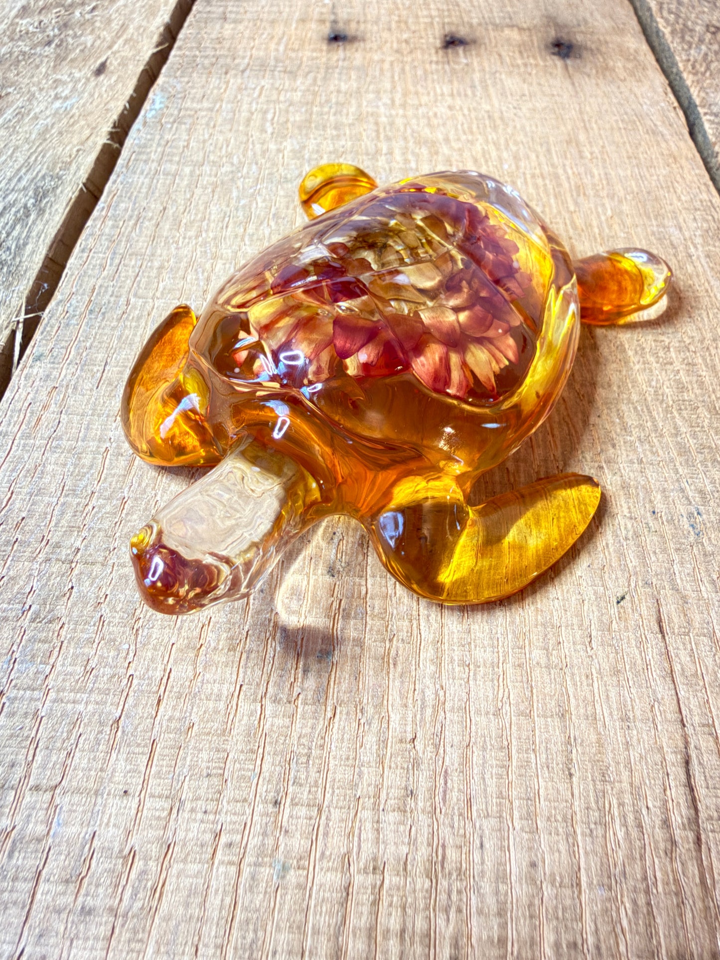 Turtles