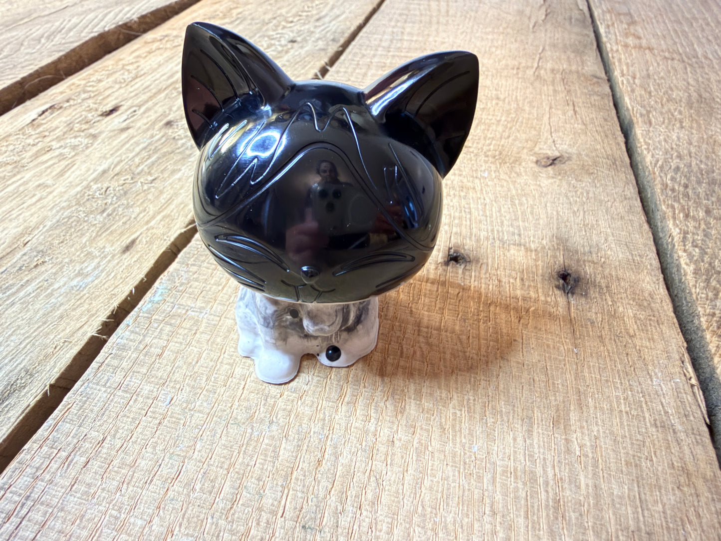 Cats