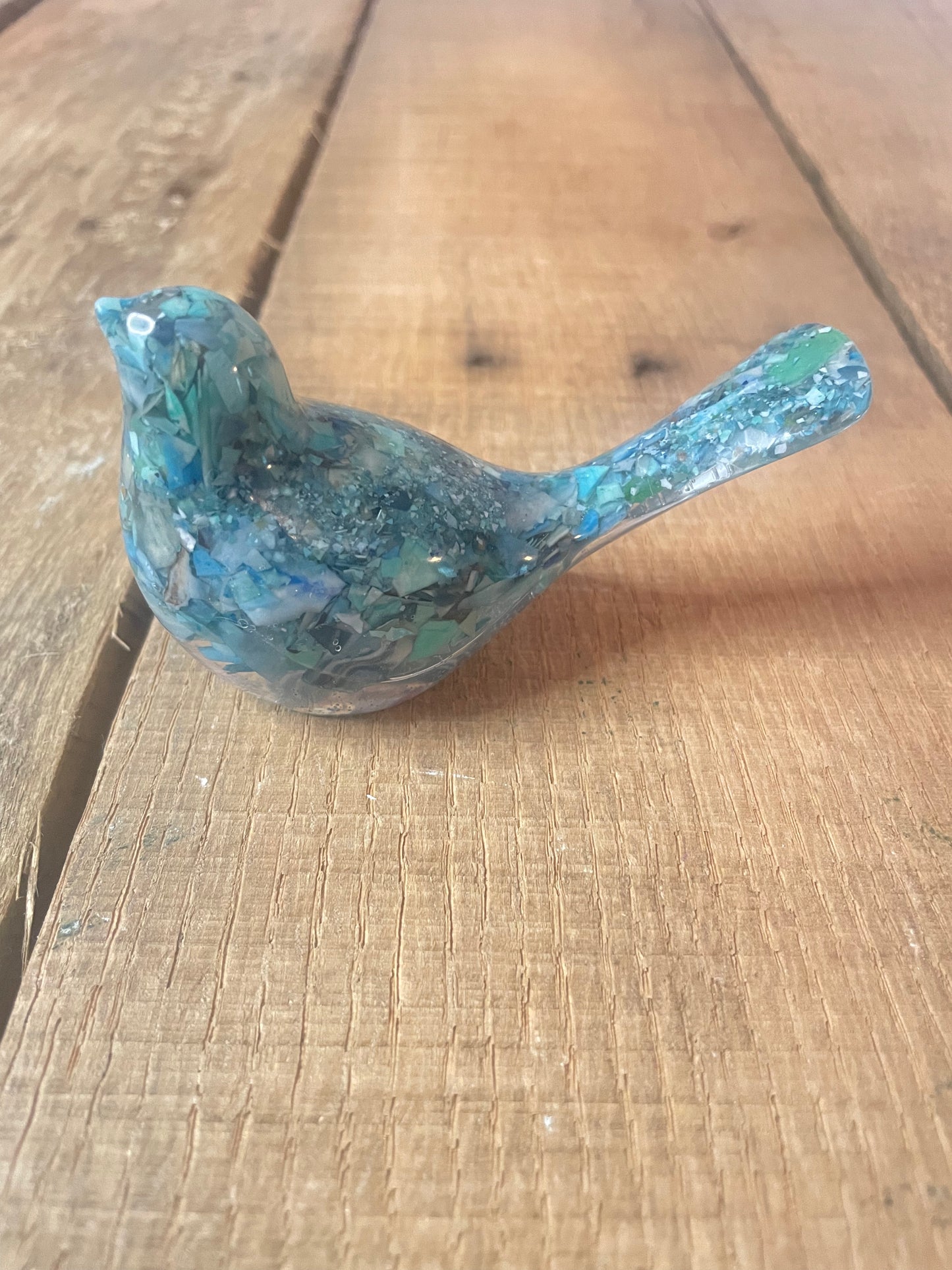 Birds