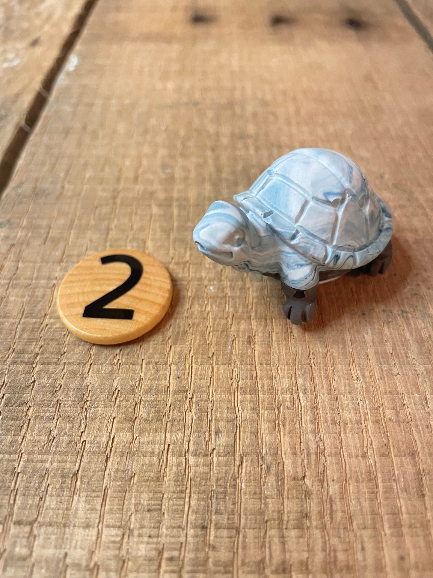 Turtles