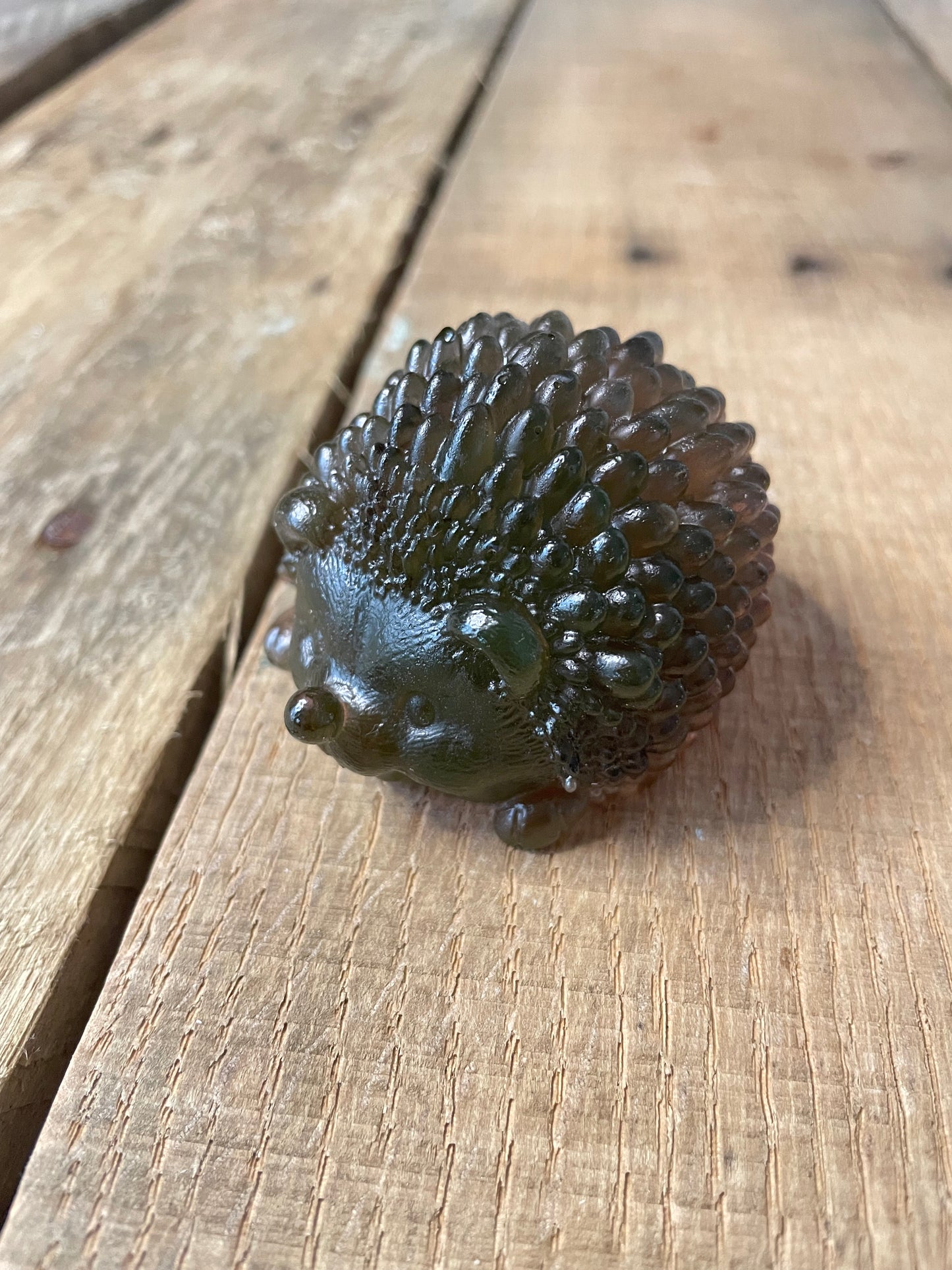 Hedgehogs
