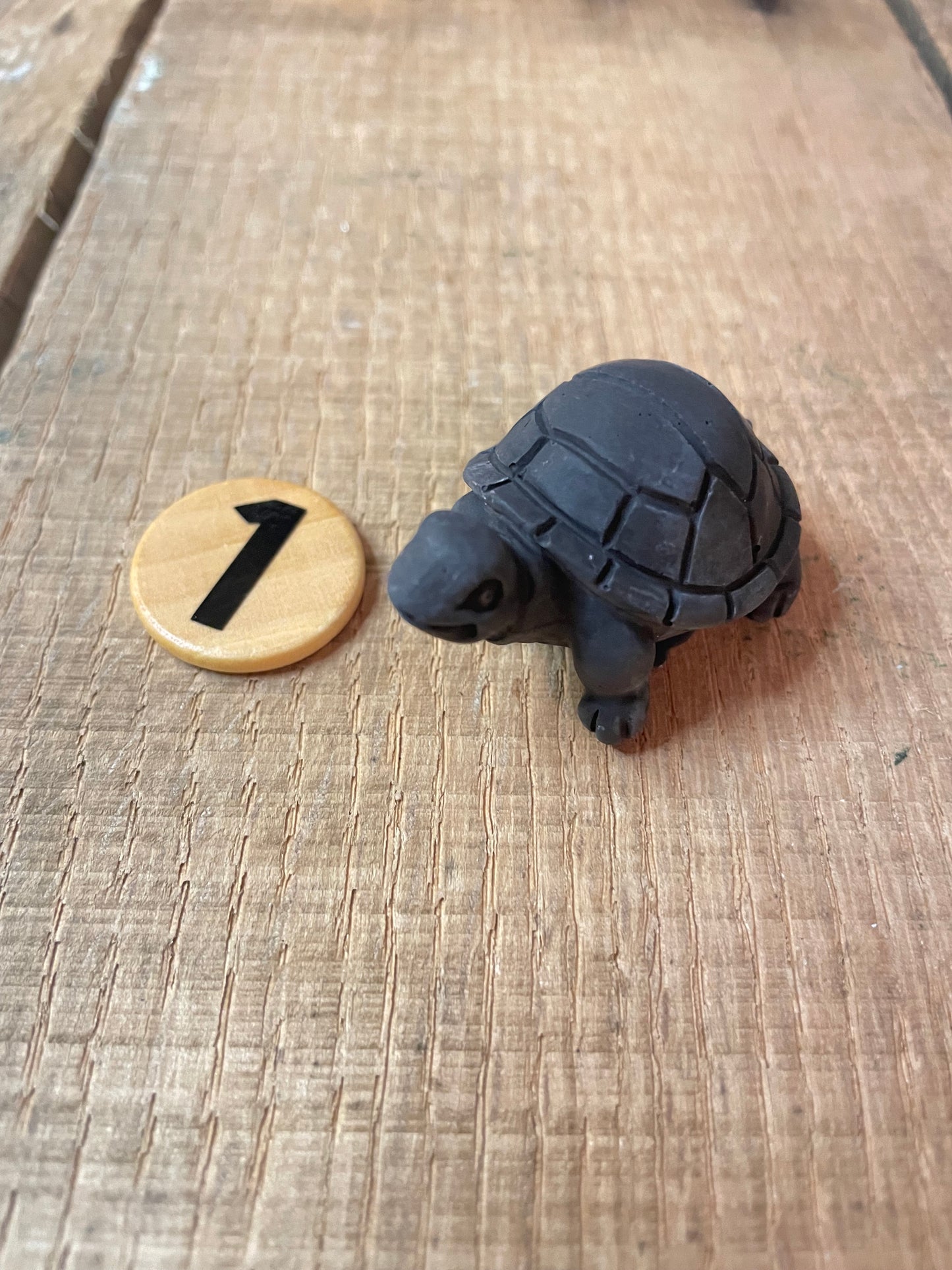 Turtles