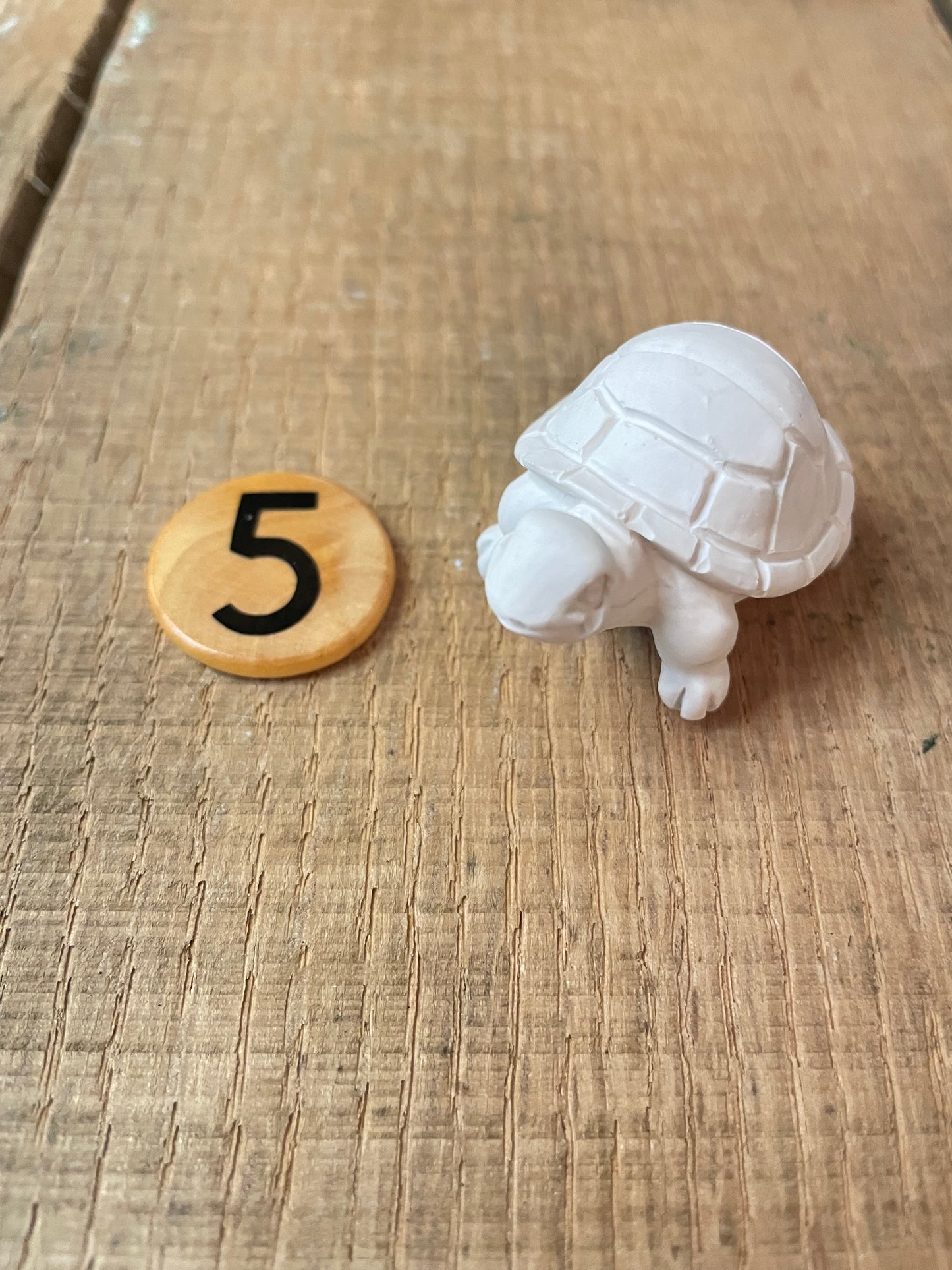 Turtles