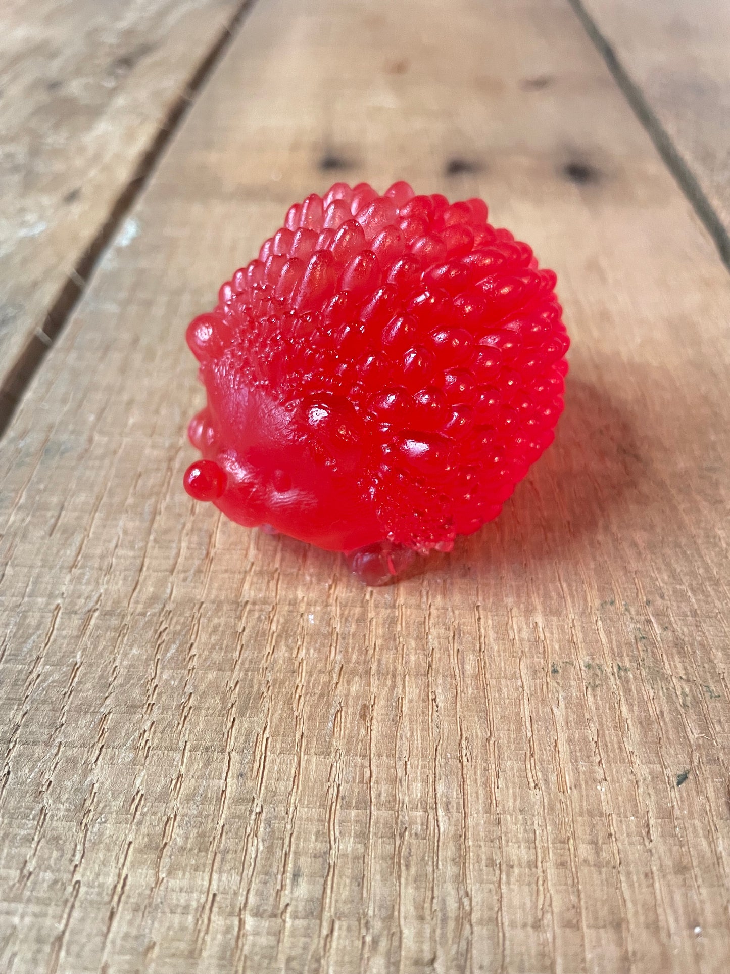 Hedgehogs