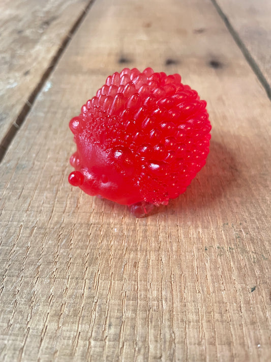 Hedgehogs