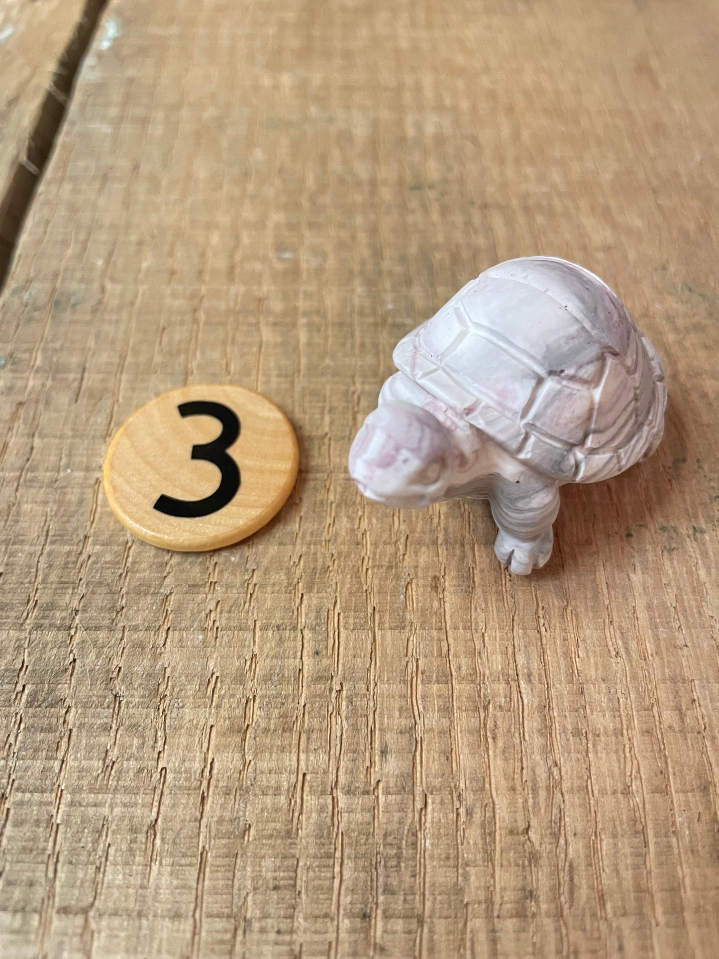 Turtles