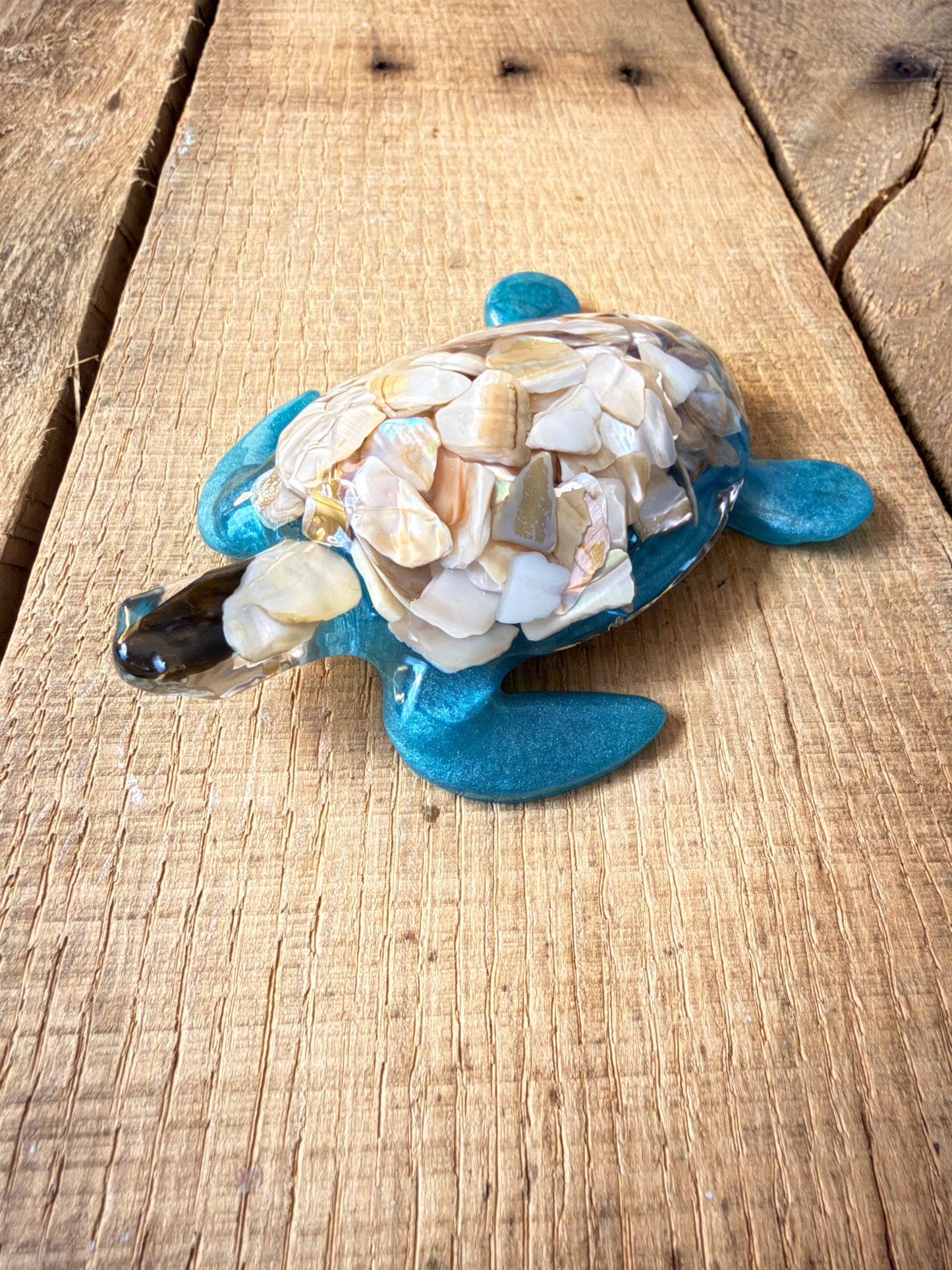 Turtles