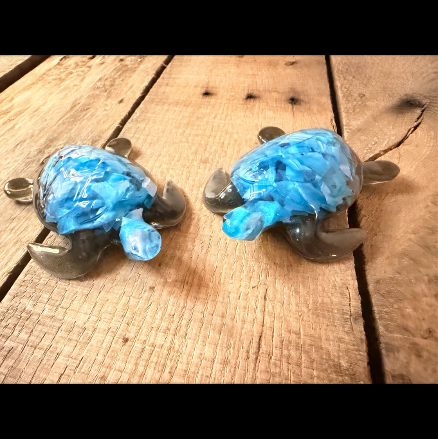 Turtles