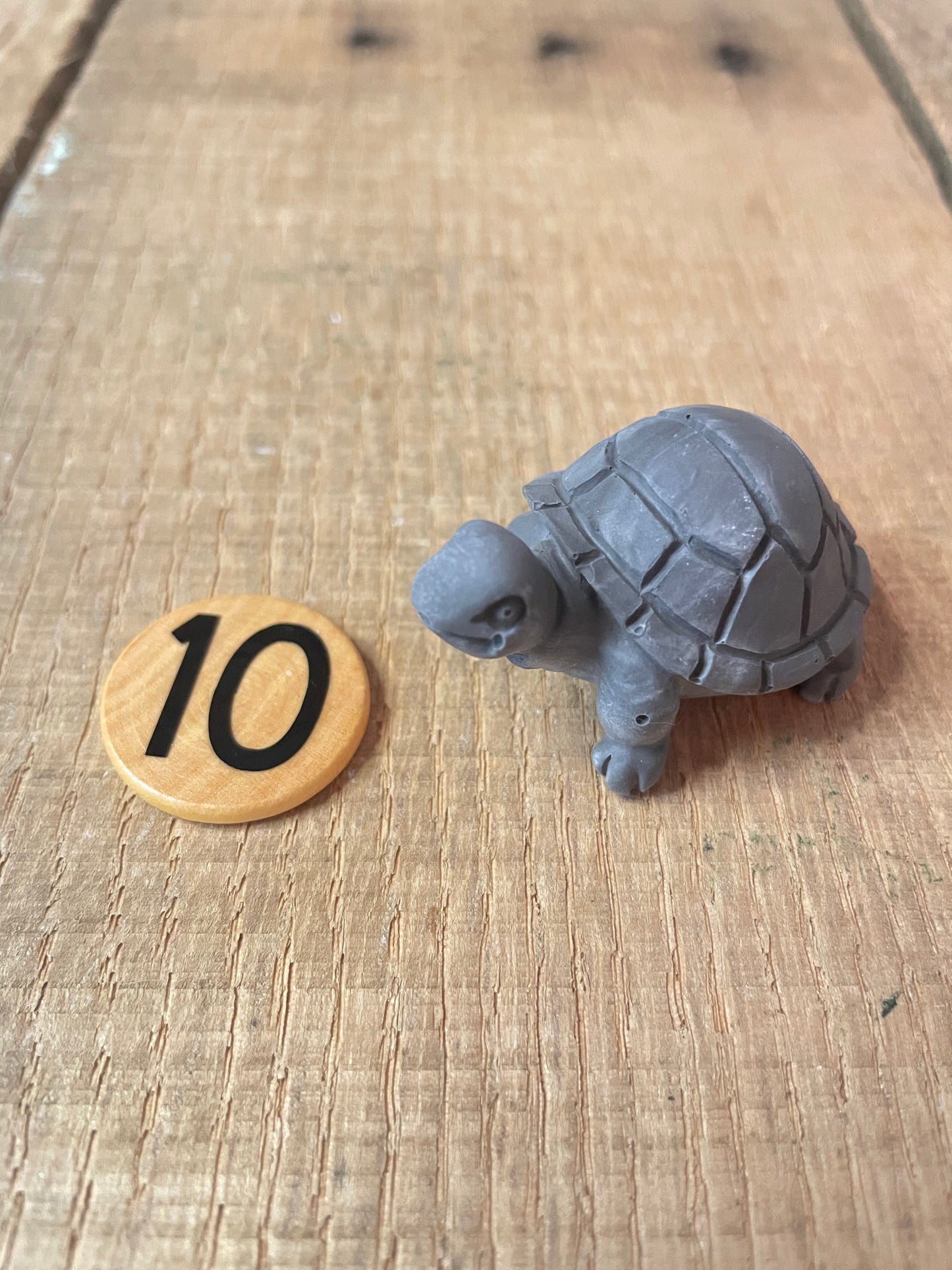 Turtles
